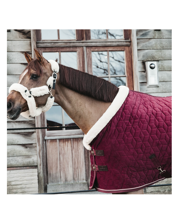 Couverture de présentation Velvet Kentucky - Bordeaux 150g 52171 Kentucky Couvertures