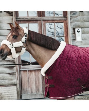 Couverture de présentation Velvet Kentucky - Bordeaux 150g 52171 Kentucky Couvertures