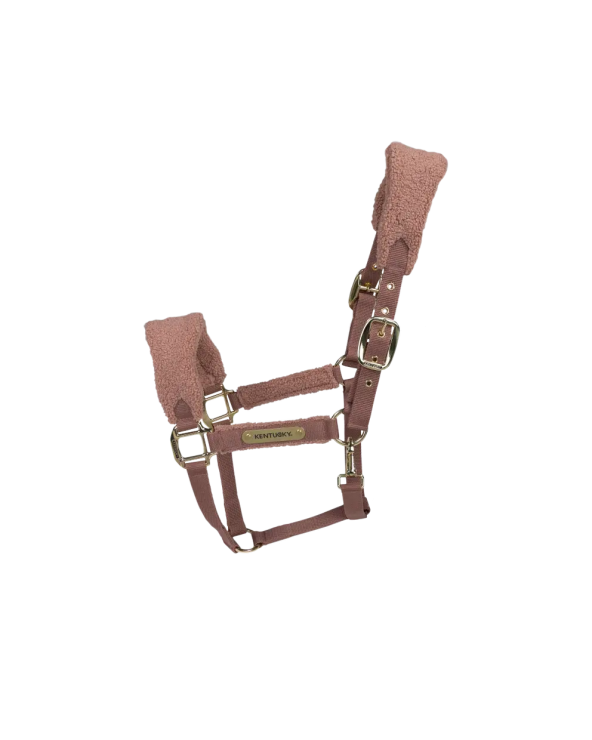 Licol teddy fleece Vieux Rose - Kentucky  Kentucky Accueil