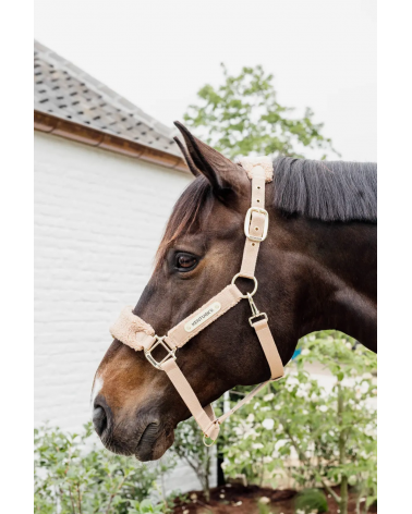 Licol teddy fleece Vieux Rose - Kentucky  Kentucky Accueil