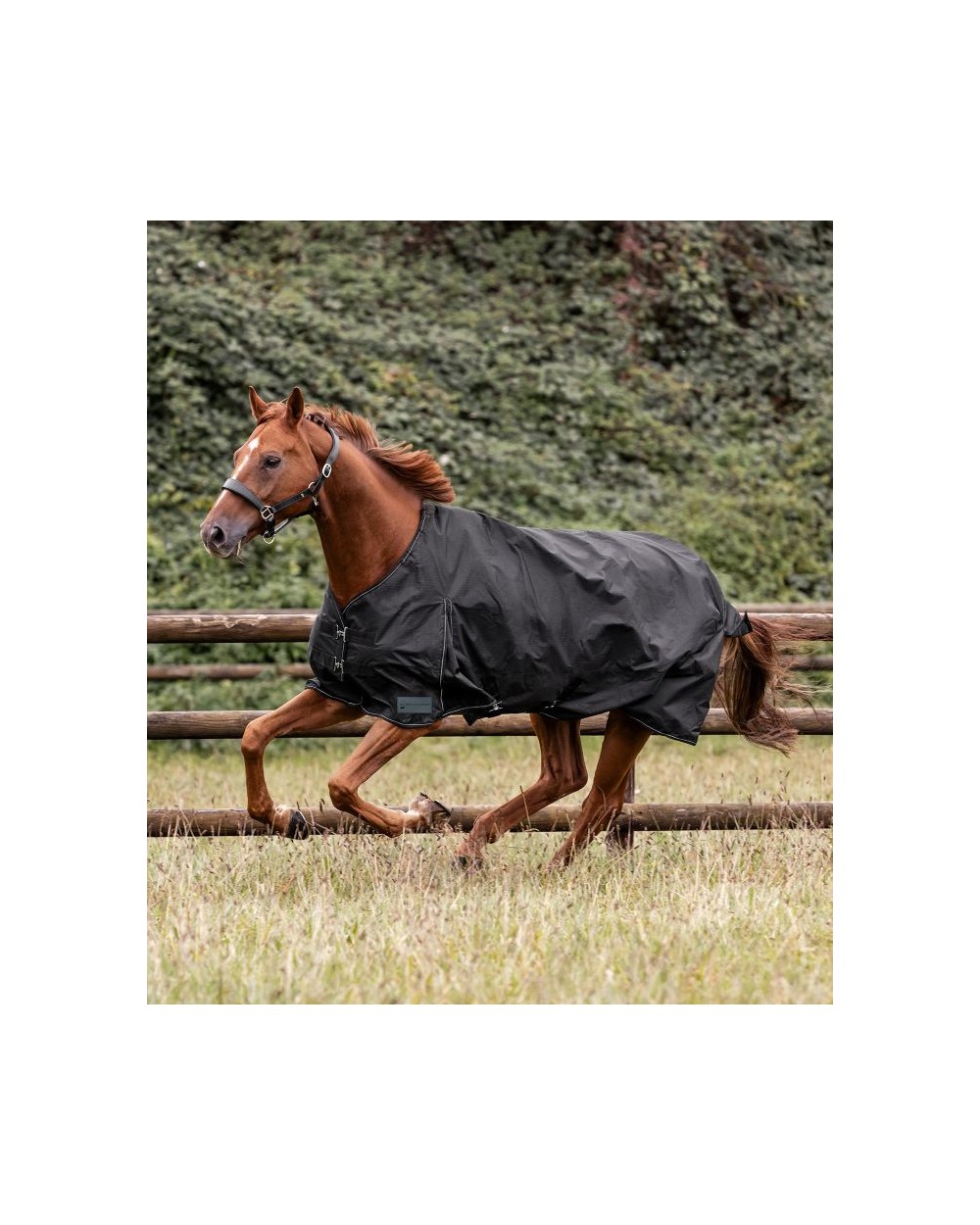 Couverture d’extérieur NORDIC, 100 g Waldhausen  Waldhausen Accueil