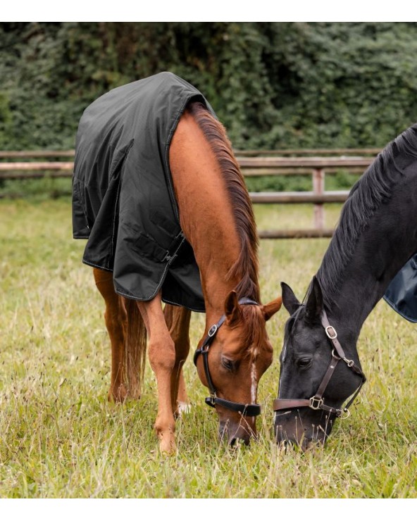 Couverture d’extérieur NORDIC, 100 g Waldhausen  Waldhausen Accueil