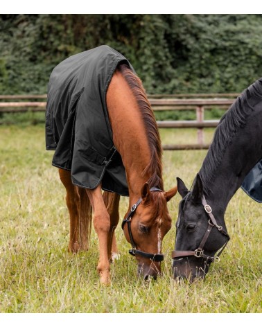 Couverture d’extérieur NORDIC, 100 g Waldhausen  Waldhausen Accueil