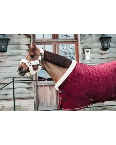 Couverture de présentation Velvet Kentucky - Bordeaux 150g 52171 Kentucky Couvertures