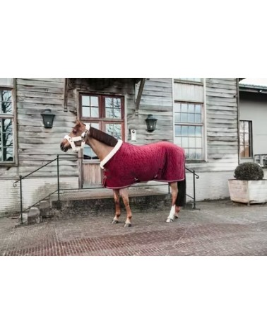 Couverture de présentation Velvet Kentucky - Bordeaux 150g 52171 Kentucky Couvertures