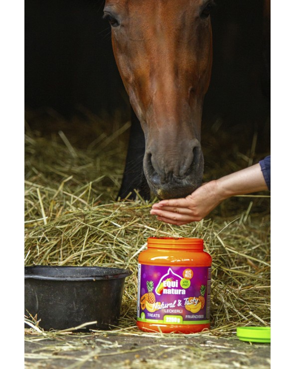 Friandises naturelles EQUINATURA Seau 2,25KG  Equinatura Accueil