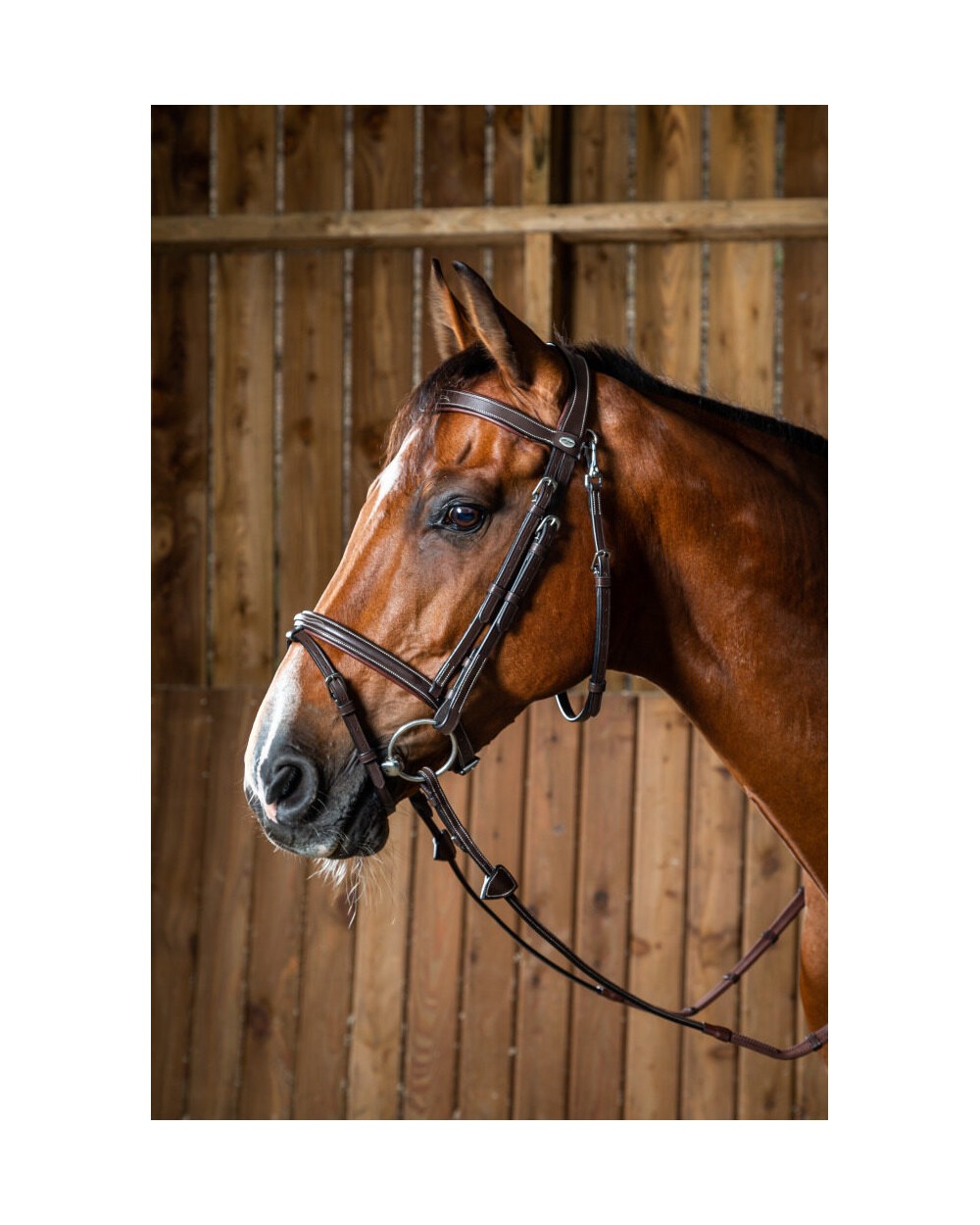 Bridon Muserolle Combinée Avec Mousqueton Dy'on WOJBHABRF Dy'on Accueil