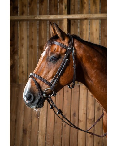 Bridon Muserolle Combinée Avec Mousqueton Dy'on WOJBHABRF Dy'on Accueil