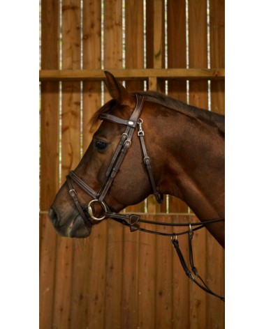 Bridon Muserolle Combinée Avec Mousqueton Dy'on WOJBHABRF Dy'on Accueil