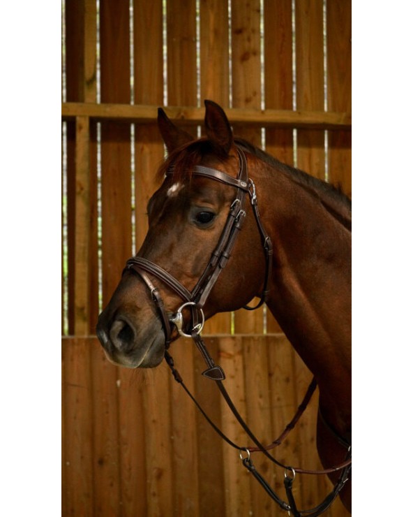 Bridon Muserolle Combinée Avec Mousqueton Dy'on WOJBHABRF Dy'on Accueil