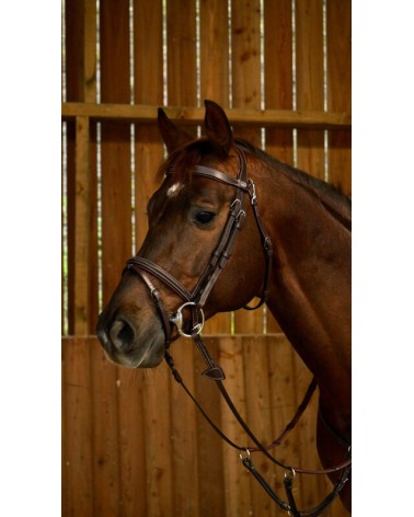 Bridon Muserolle Combinée Avec Mousqueton Dy'on WOJBHABRF Dy'on Accueil