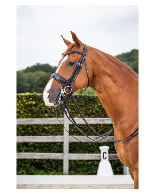 Bride Muserolle Large Mat Dy'on WOECAR Dy'on Accueil