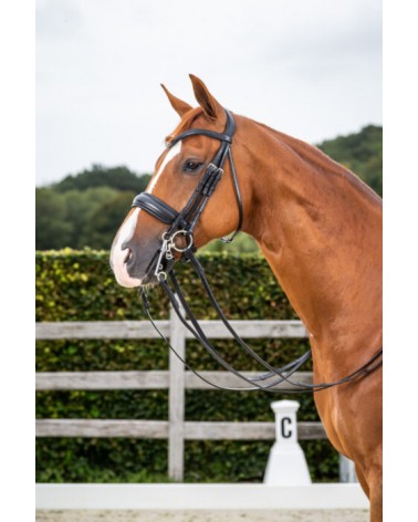 Bride Muserolle Large Mat Dy'on WOECAR Dy'on Accueil