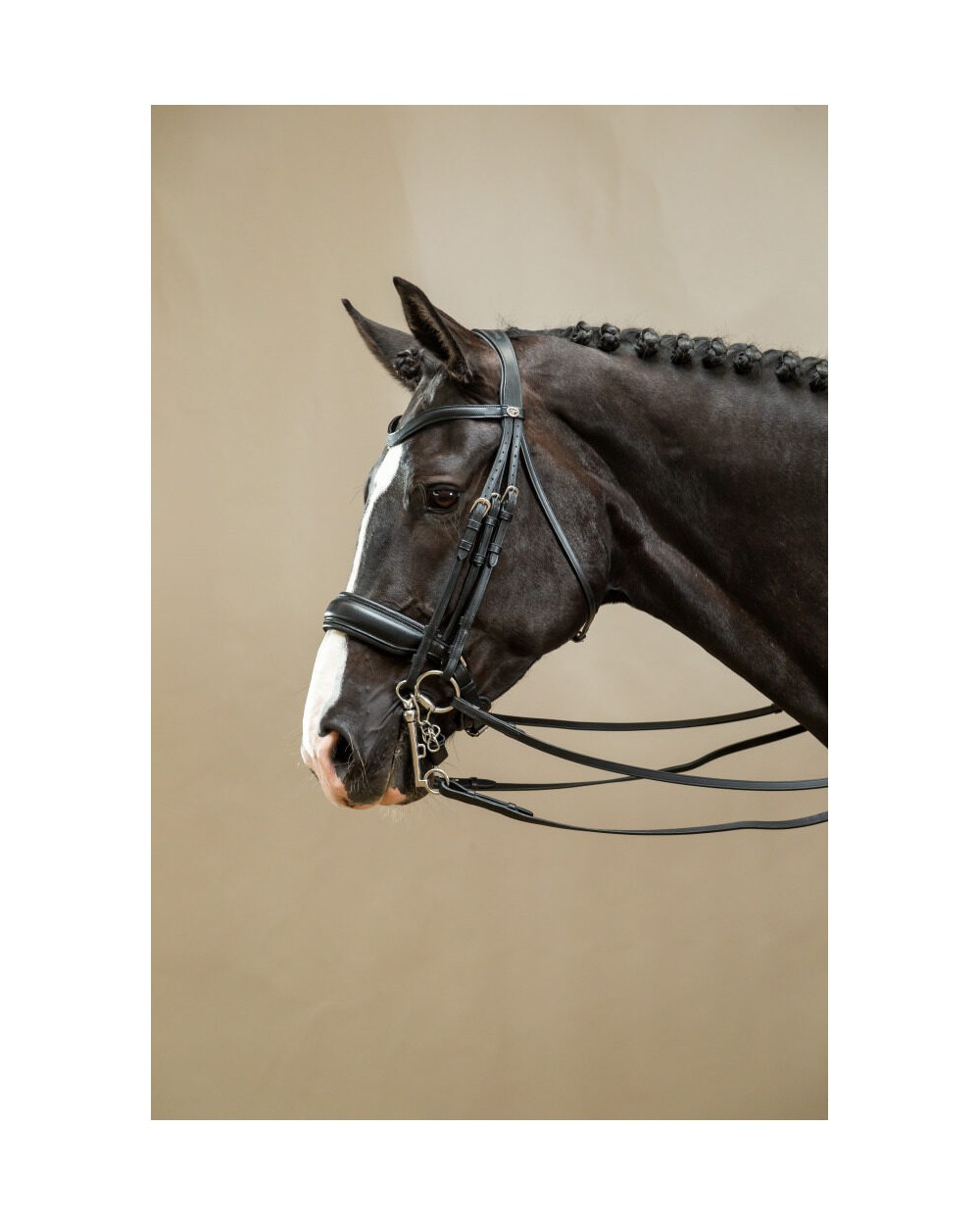 Bride Muserolle Large Mat Dy'on WOECAR Dy'on Accueil