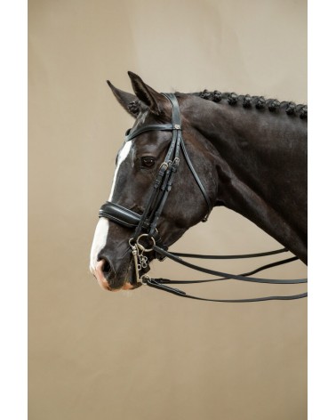 Bride Muserolle Large Mat Dy'on WOECAR Dy'on Accueil