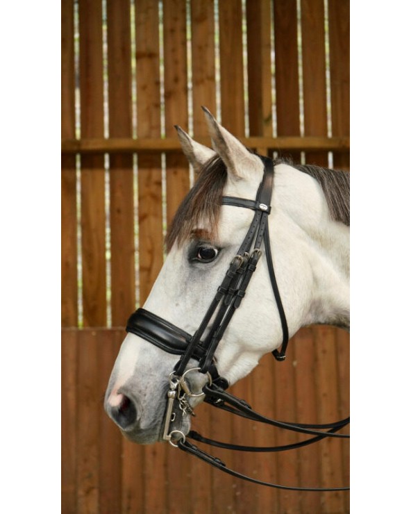 Bride Muserolle Large Mat Dy'on WOECAR Dy'on Accueil