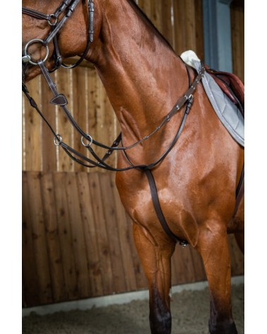 Martingale A Anneaux Dy'on  Dy'on Accueil