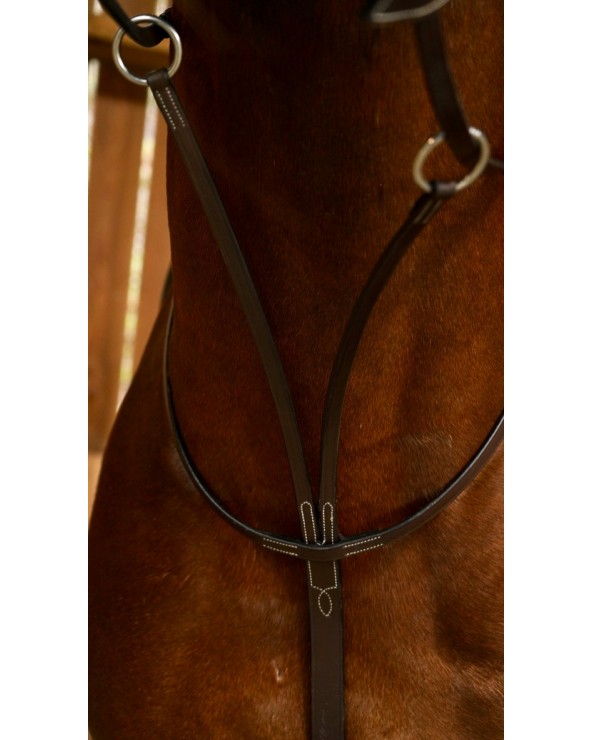 Martingale A Anneaux Dy'on  Dy'on Accueil