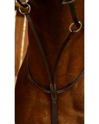 Martingale A Anneaux Dy'on  Dy'on Accueil