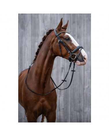 Bridon -Bella-  Hkm Accueil