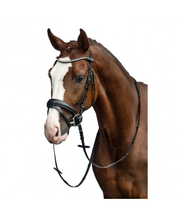 Bridon -Bella-  Hkm Accueil