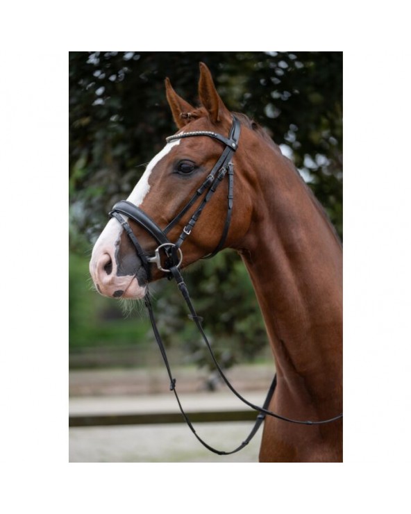 Bridon -Bella-  Hkm Accueil