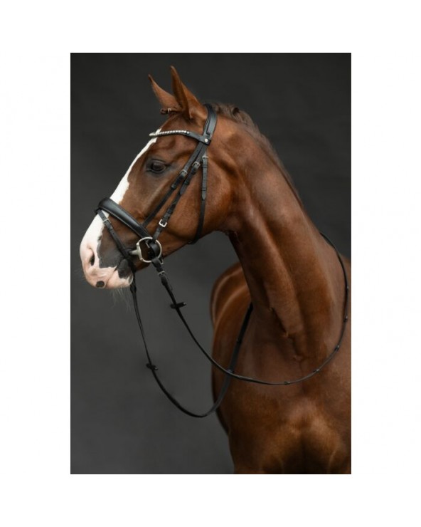 Bridon -Bella-  Hkm Accueil