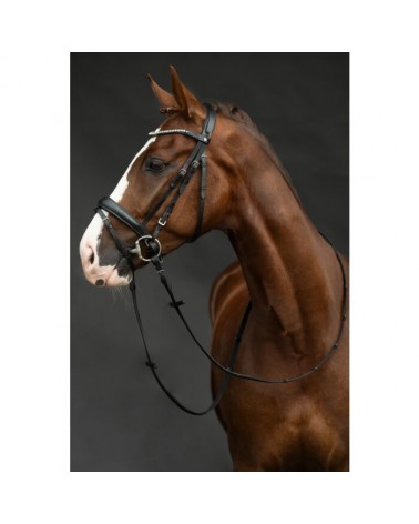 Bridon -Bella-  Hkm Accueil