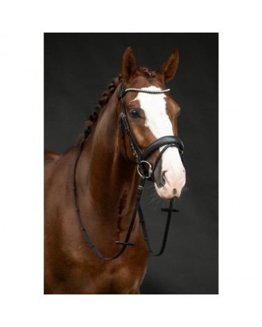 Bridon -Bella-  Hkm Accueil