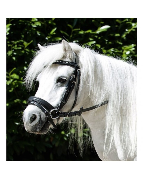 Bridon -Mini Shetty-  Hkm Accueil