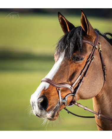 Bridon Techno Marron  HFI Accueil