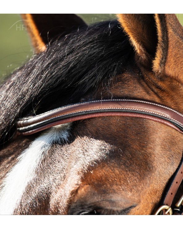 Bridon Techno Marron  HFI Accueil