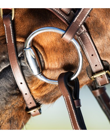 Bridon Techno Marron  HFI Accueil