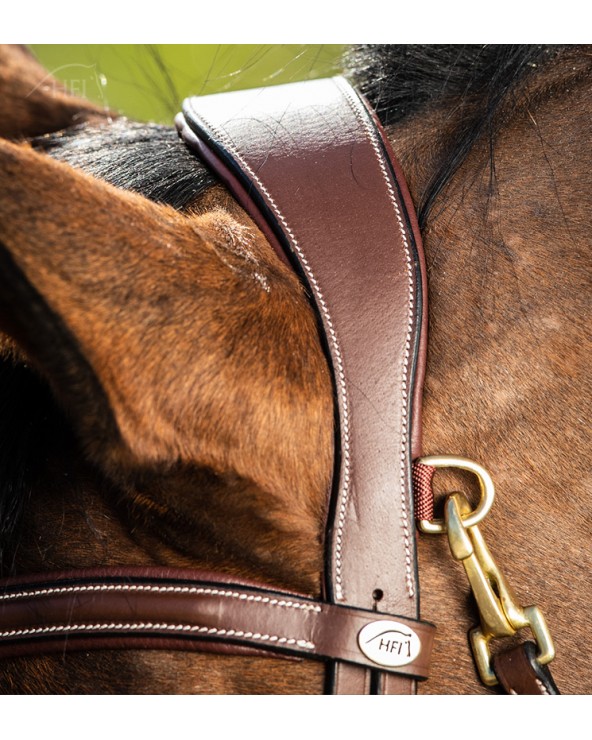 Bridon Techno Marron  HFI Accueil