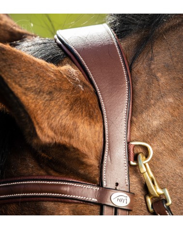 Bridon Techno Marron  HFI Accueil