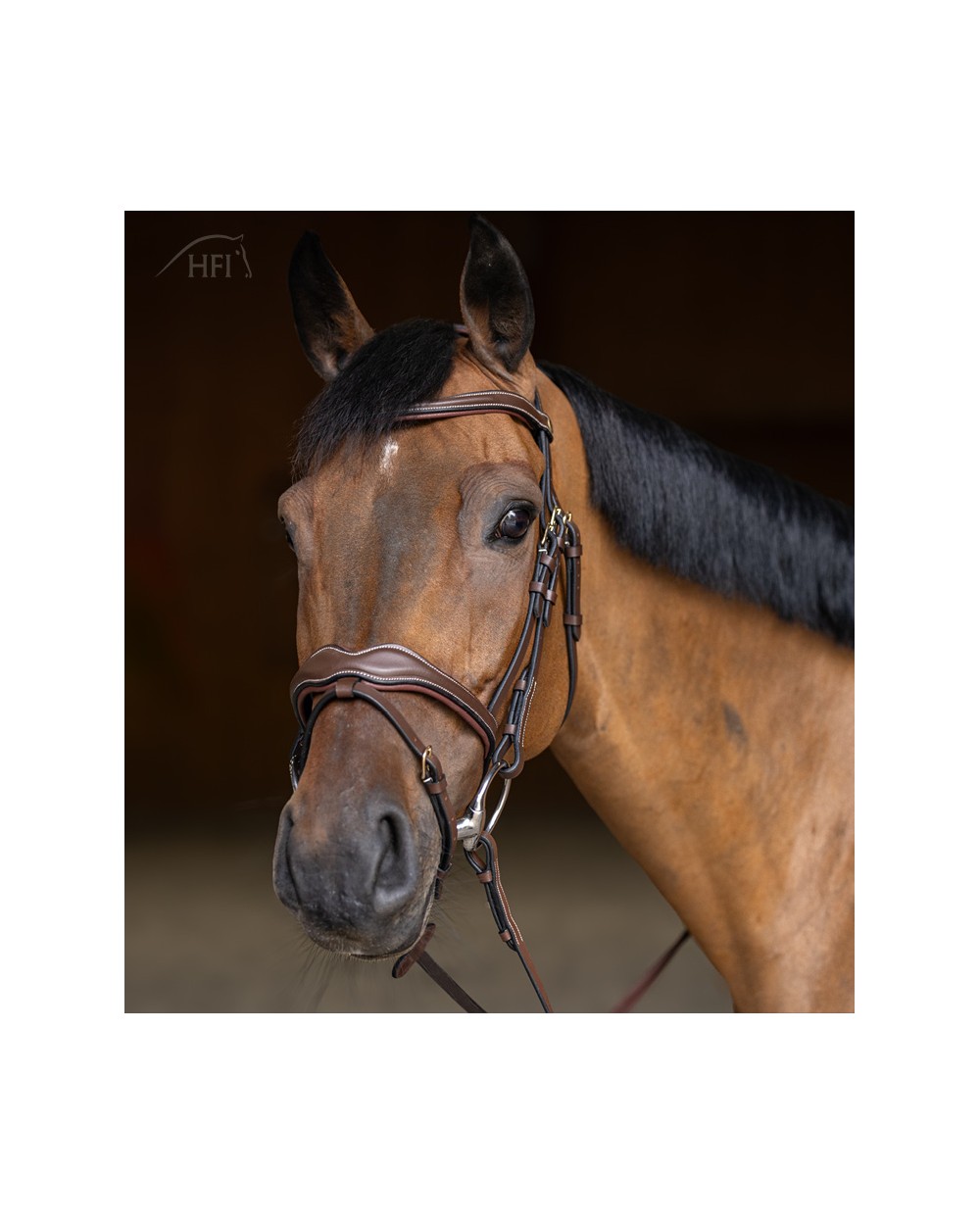 Bridon Wavy Marron  HFI Accueil
