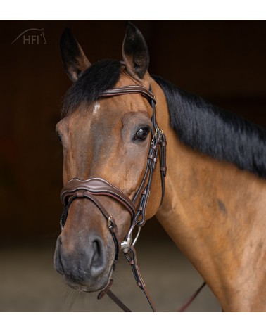 Bridon Wavy Marron  HFI Accueil