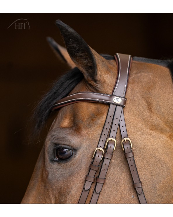 Bridon Wavy Marron  HFI Accueil