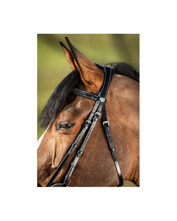 Bridon German Noir  HFI Accueil