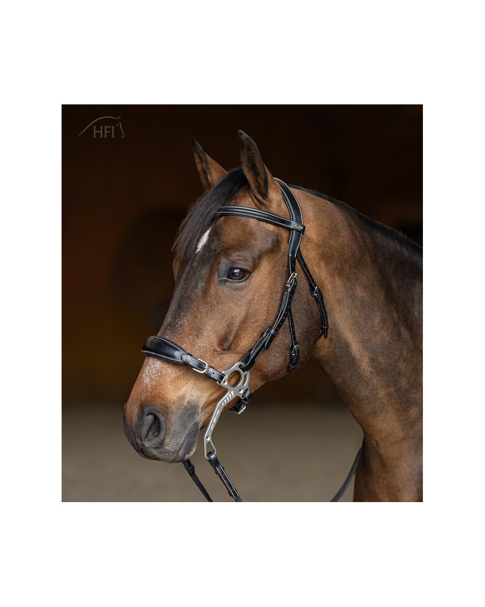 Bridon HACKAMORE Noir  HFI Accueil