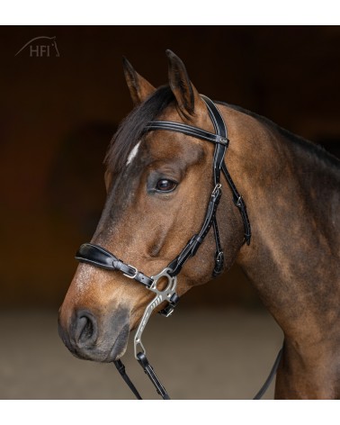 Bridon HACKAMORE Noir  HFI Accueil