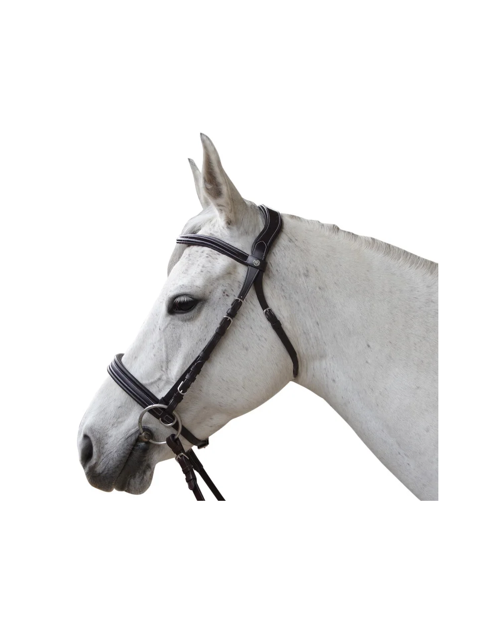 Bridon Canter Bitless Evolution  Canter Accueil