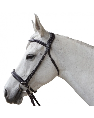 Bridon Canter Bitless Evolution  Canter Accueil