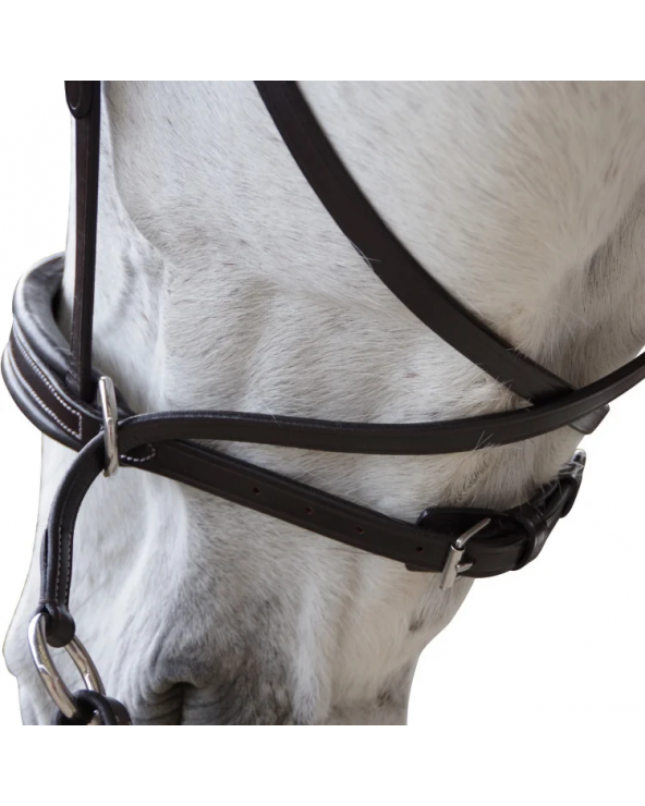 Bridon Canter Bitless Evolution  Canter Accueil