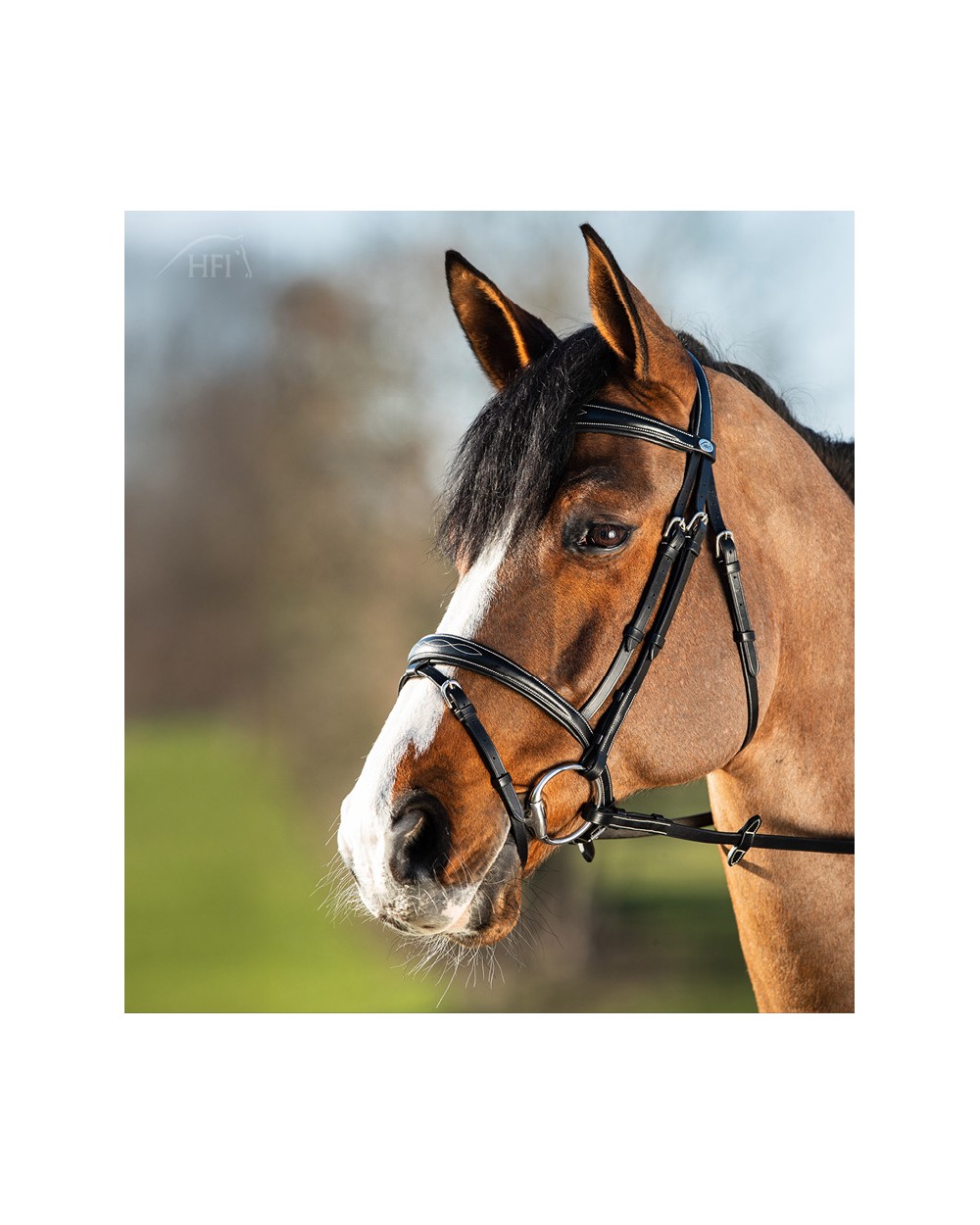 Bridon ELEGANT Noir  HFI Accueil
