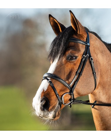 Bridon ELEGANT Noir  HFI Accueil