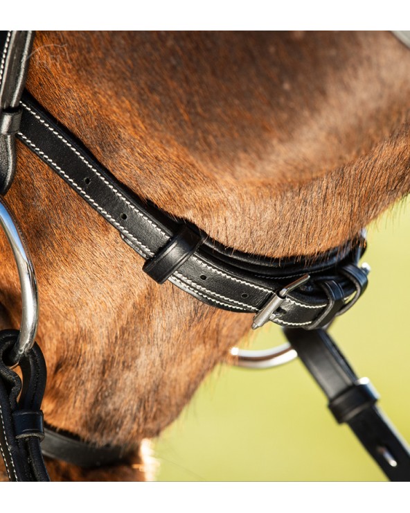 Bridon ELEGANT Noir  HFI Accueil