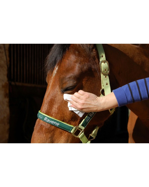 Easy Shine Wipe Lingettes nettoyantes RAVENE  RAVENE Accueil