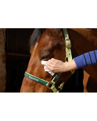 Easy Shine Wipe Lingettes nettoyantes RAVENE  RAVENE Accueil