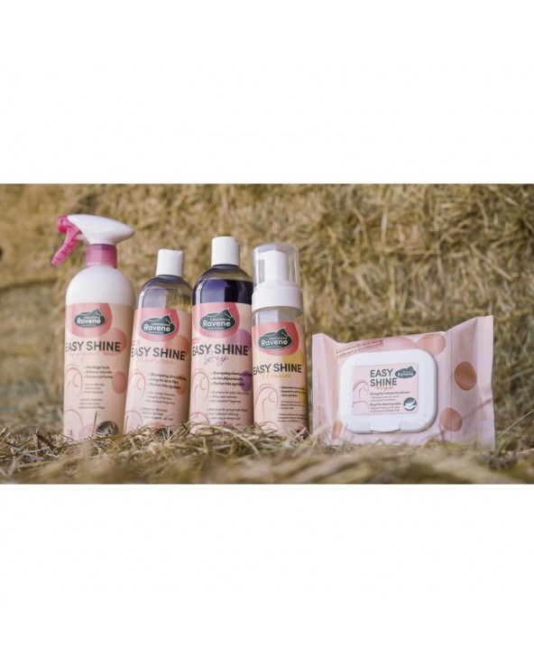 Easy Shine Wipe Lingettes nettoyantes RAVENE  RAVENE Accueil